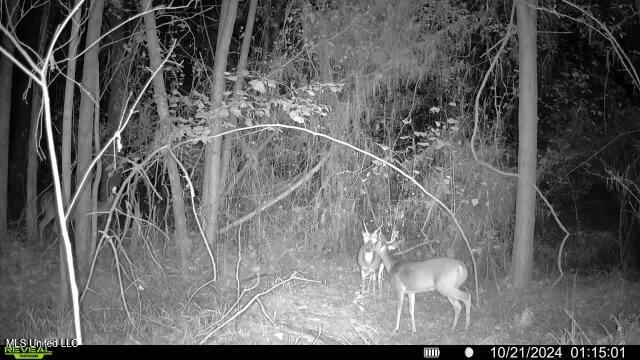 1291 Crockett Road Senatobia, MS 38668 - Photo 46 of 48 016579000178157-94-2-10212024011501-SYFW
