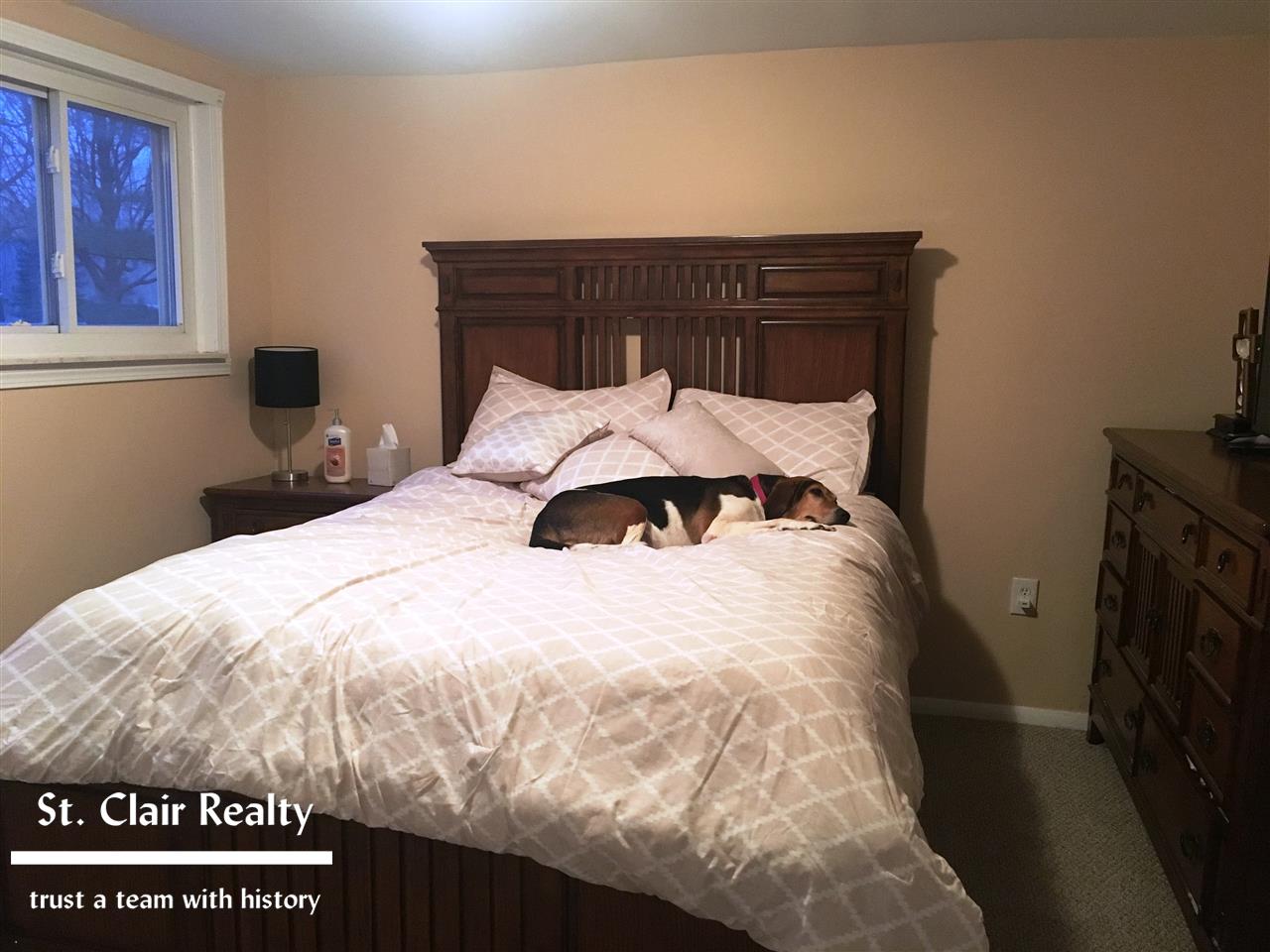 7749 Puttygut Road Casco, MI 48064 - Photo 13 of 21 31338578-13.JPG