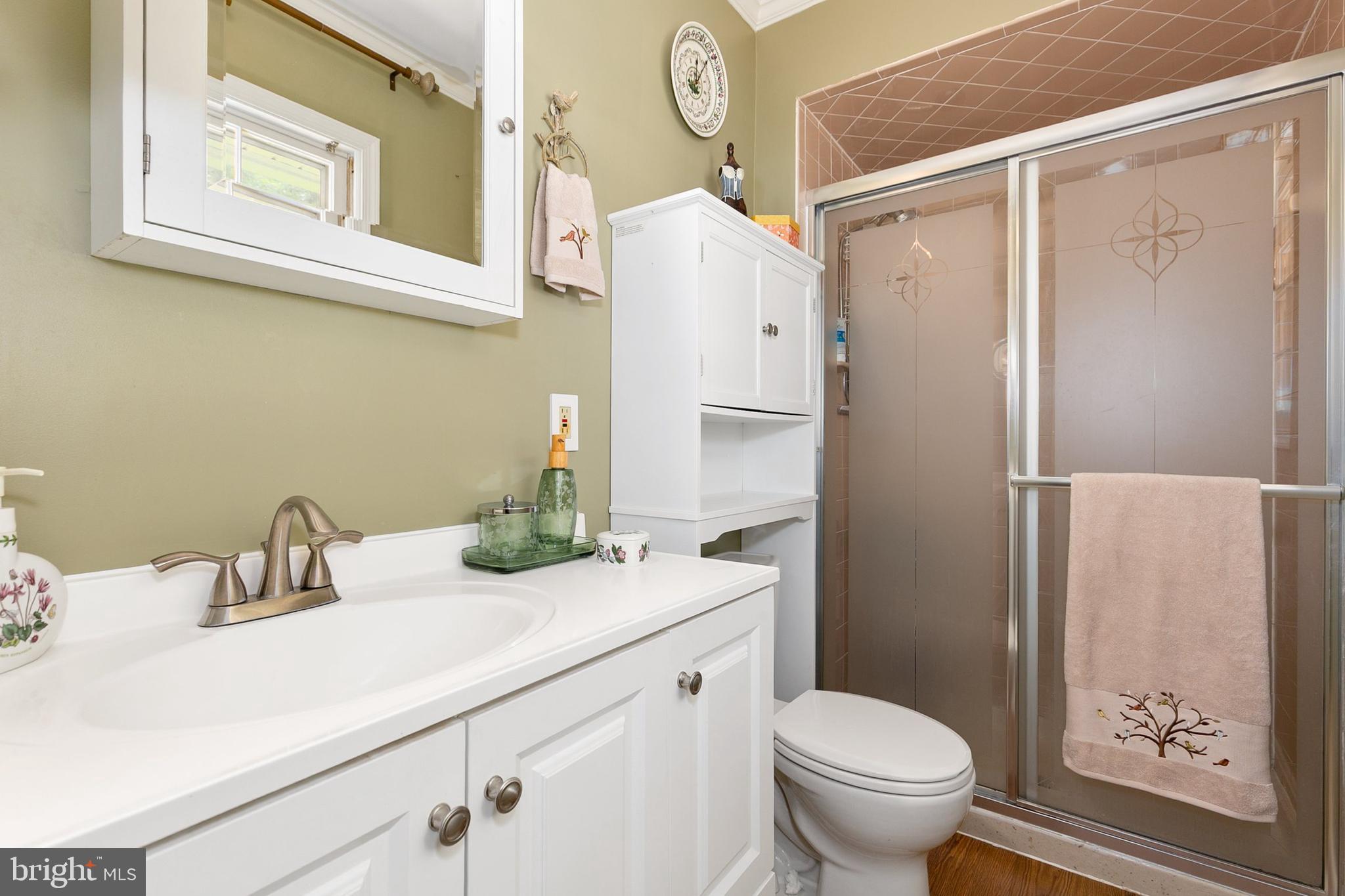 3004 Bluff Point Lane Silver Spring, MD 20906 - Photo 37 of 74 a bathroom with a sink a toilet and shower curtain