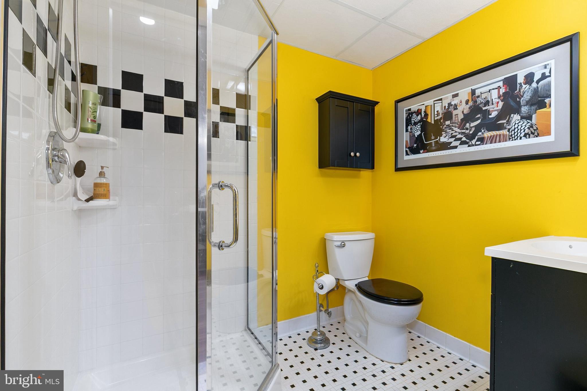 3004 Bluff Point Lane Silver Spring, MD 20906 - Photo 48 of 74