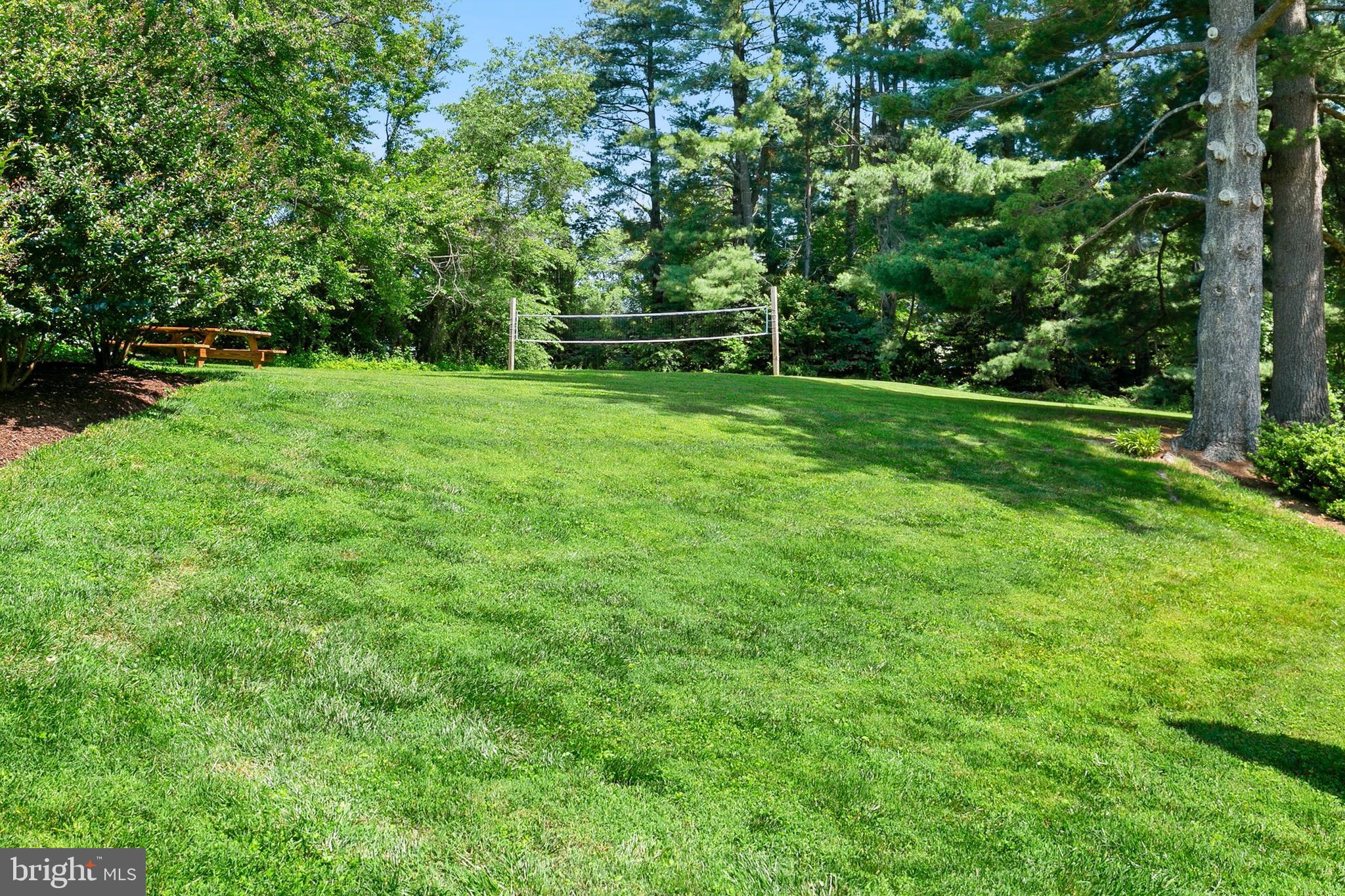 3004 Bluff Point Lane Silver Spring, MD 20906 - Photo 67 of 74 a view of green field with trees in the background