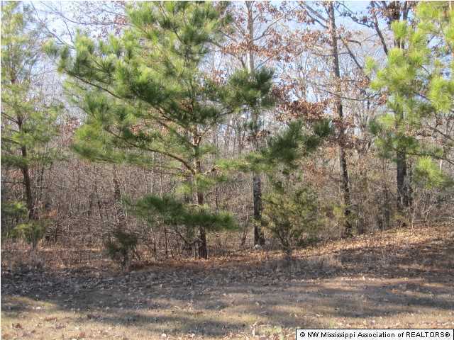 4 Cayce Road Byhalia, MS 38611 - Photo 11 of 11 Additional Photo