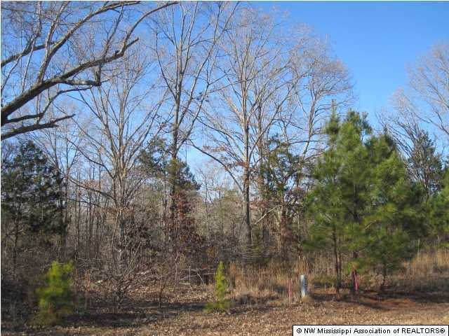 4 Cayce Road Byhalia, MS 38611 - Photo 2 of 11 Additional Photo