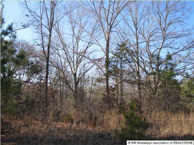 4 Cayce Road Byhalia, MS 38611 - Photo 3 of 11 Additional Photo