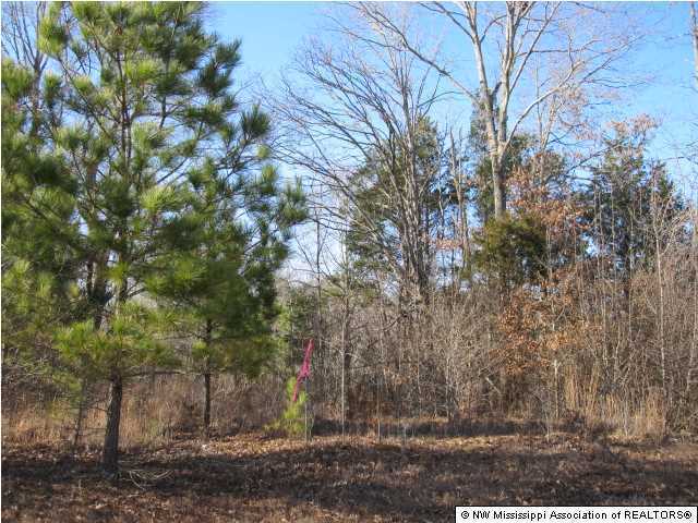 4 Cayce Road Byhalia, MS 38611 - Photo 4 of 11 Additional Photo