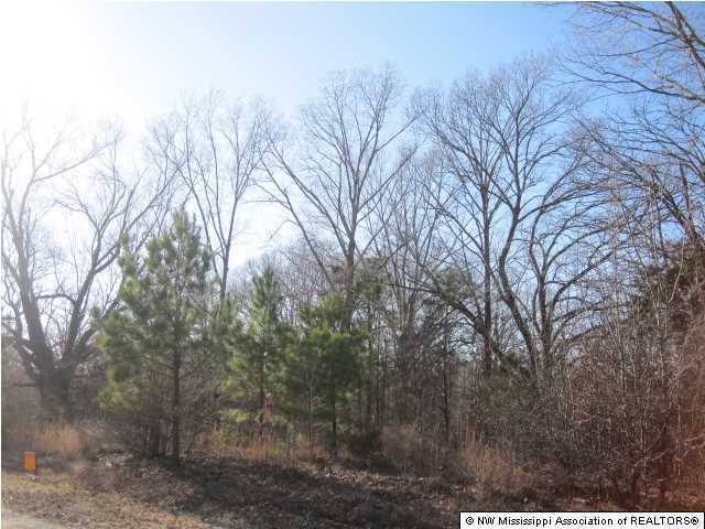 4 Cayce Road Byhalia, MS 38611 - Photo 6 of 11 Additional Photo