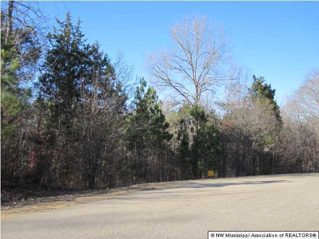 4 Cayce Road Byhalia, MS 38611 - Photo 7 of 11 Additional Photo