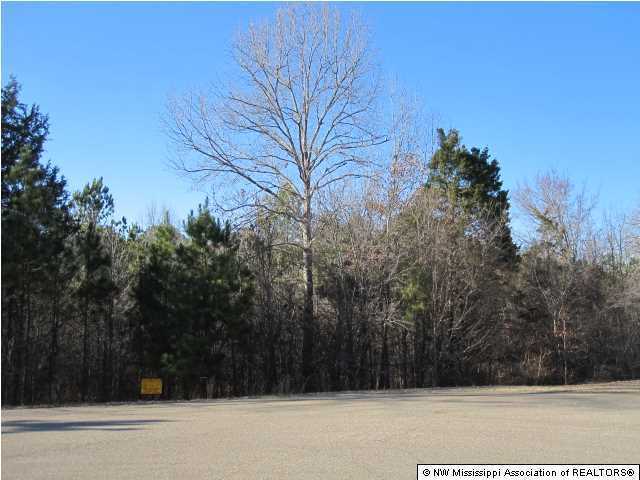 4 Cayce Road Byhalia, MS 38611 - Photo 8 of 11 Additional Photo