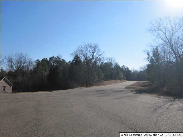 4 Cayce Road Byhalia, MS 38611 - Photo 9 of 11 Additional Photo