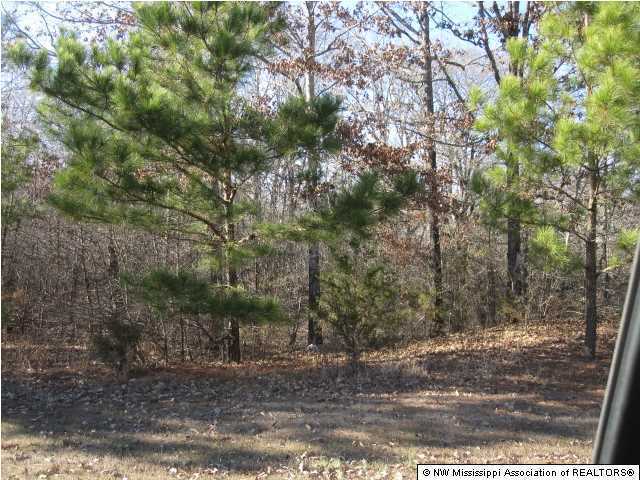 4 Cayce Road Byhalia, MS 38611 - Photo 10 of 11 Additional Photo