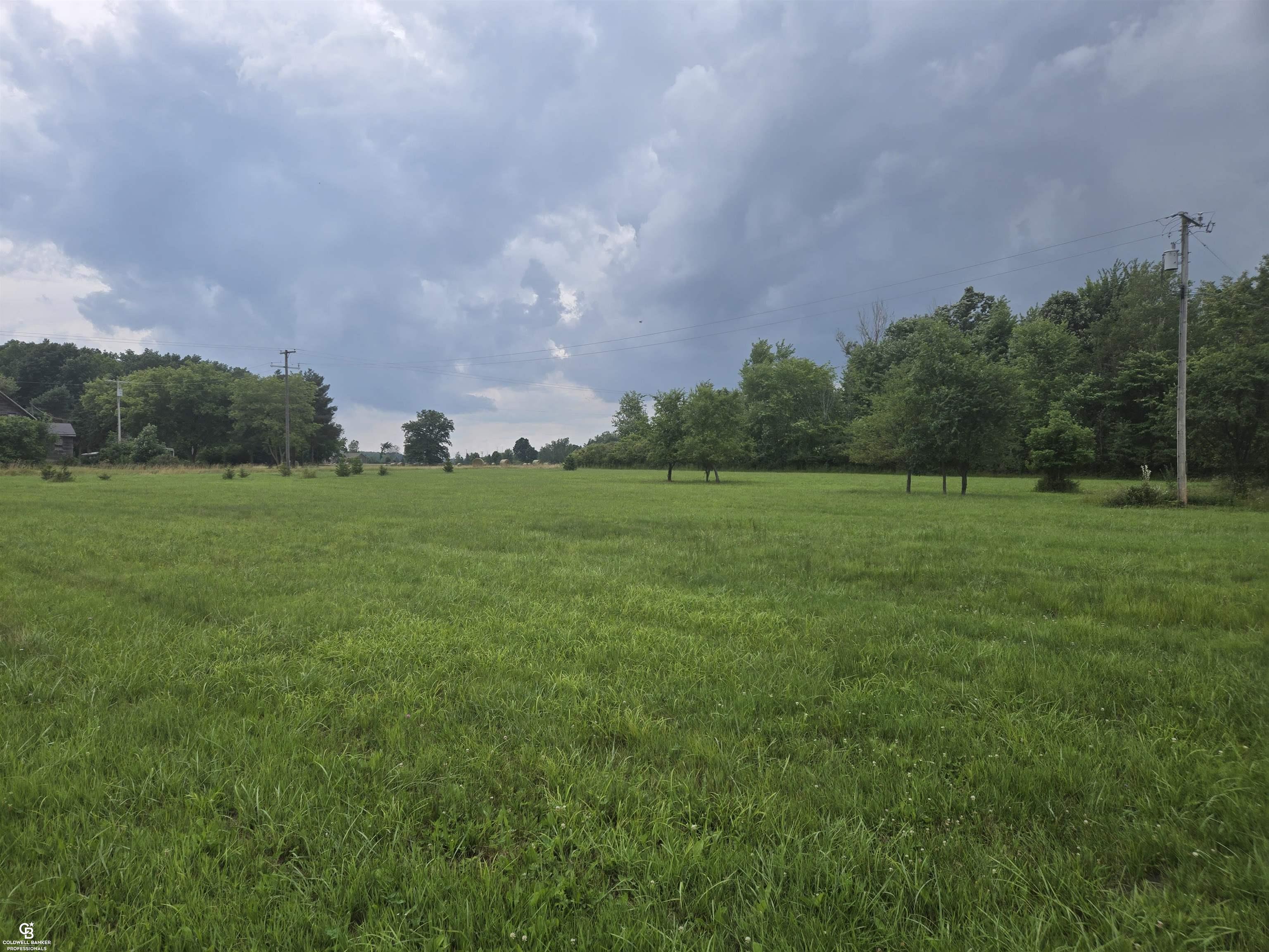 0 Duce Road Avoca, MI 48006 - Photo 10 of 10
