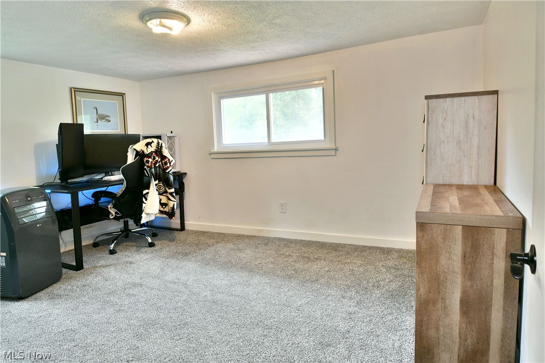 338 East Calla Road Youngstown, OH 44514 - Photo 39 of 48