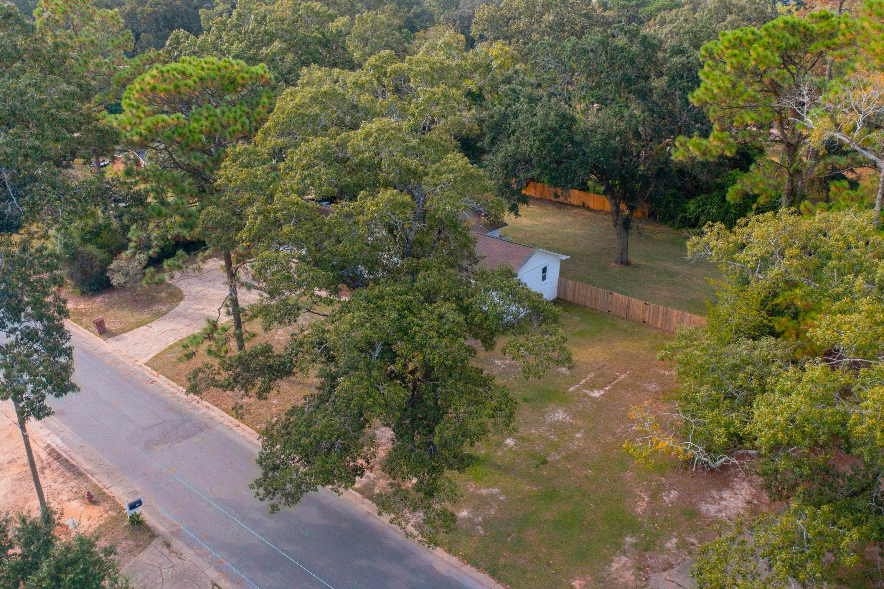 147 Gillis Drive Crestview, FL 32536 - Photo 60 of 62 a view of a yard with plants and large trees