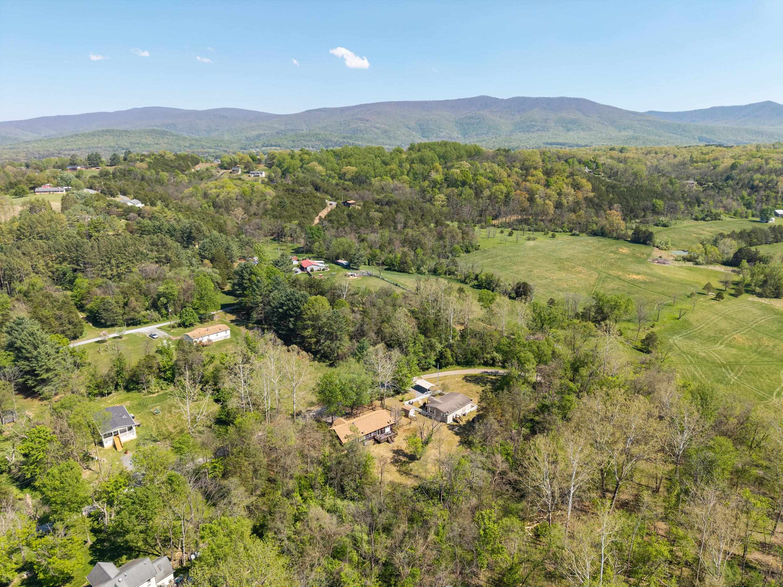 702 Richview Road Rileyville, VA 22650 - Photo 51 of 75 a view of a lush green field with lots of bushes