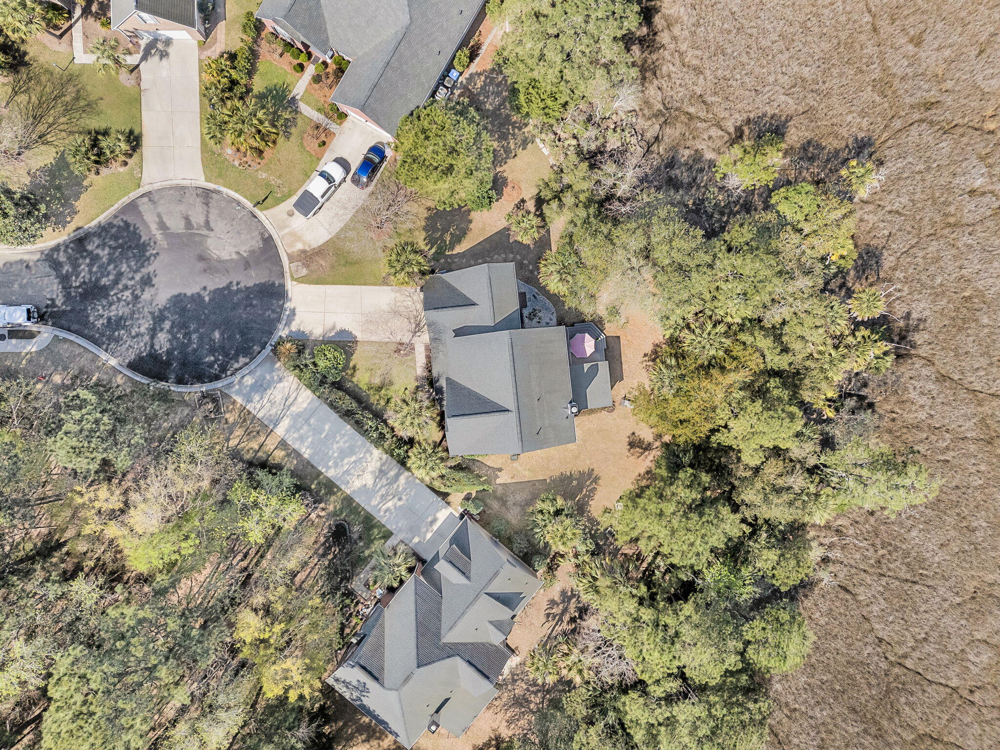 1440 Deer Walk Court Mount Pleasant, SC 29466 - Photo 59 of 90 CREM - 1440 Deer Walk Ct-6