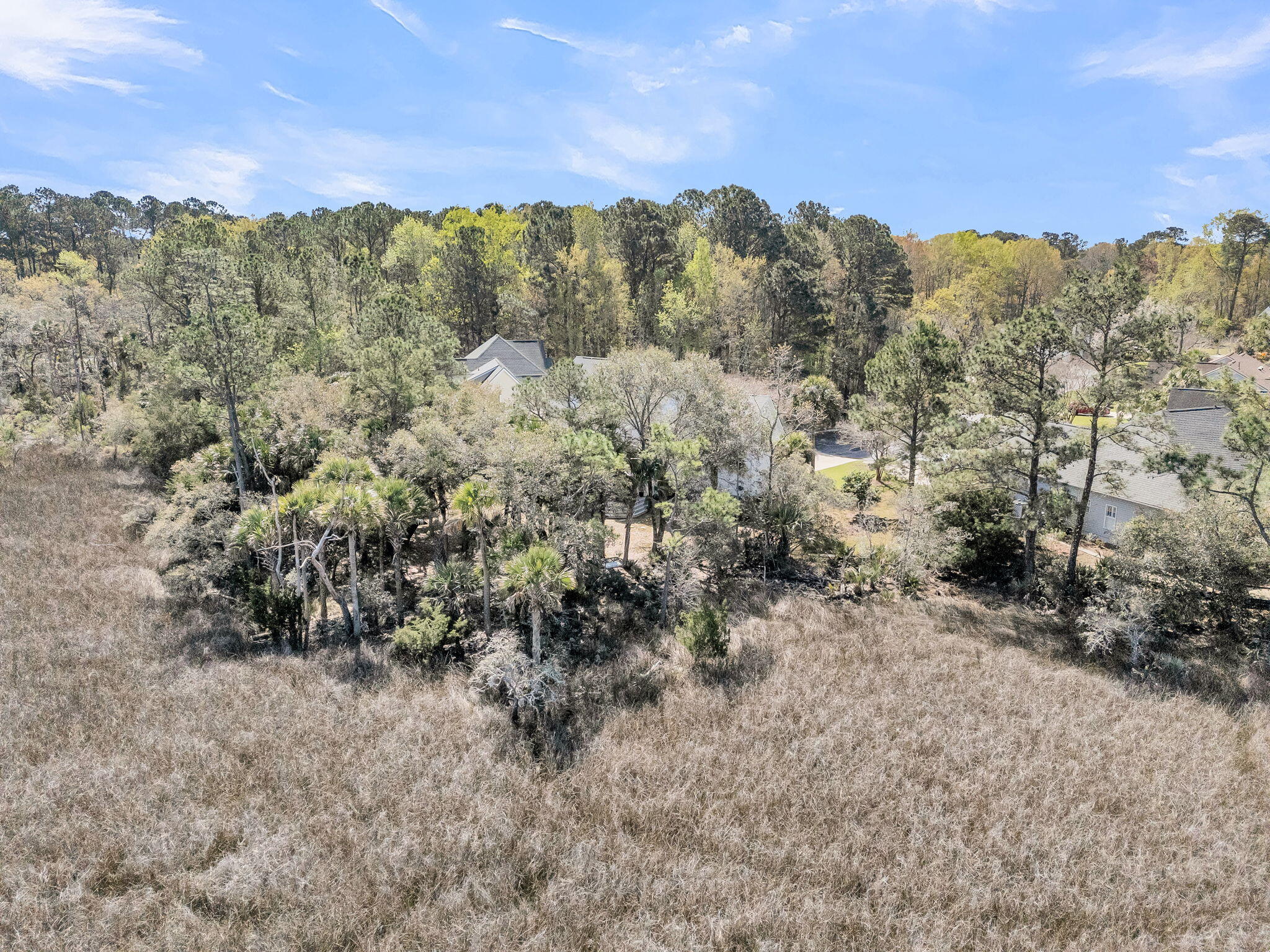 1440 Deer Walk Court Mount Pleasant, SC 29466 - Photo 67 of 90 CREM - 1440 Deer Walk Ct-10