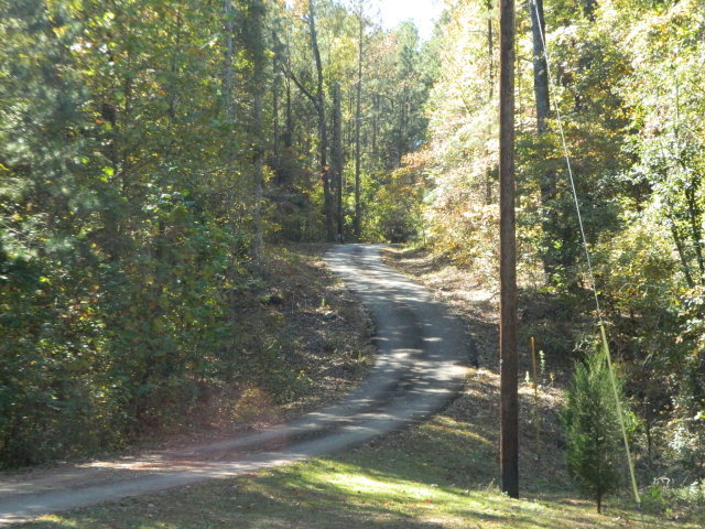 426 Huckabee Road Gray, GA 31032 - Photo 2 of 40 a view of a yard with trees