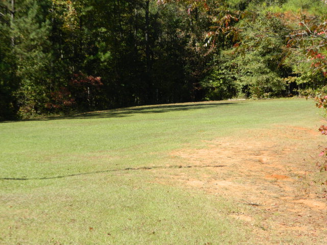 426 Huckabee Road Gray, GA 31032 - Photo 36 of 40 a view of yard with swimming pool and green space
