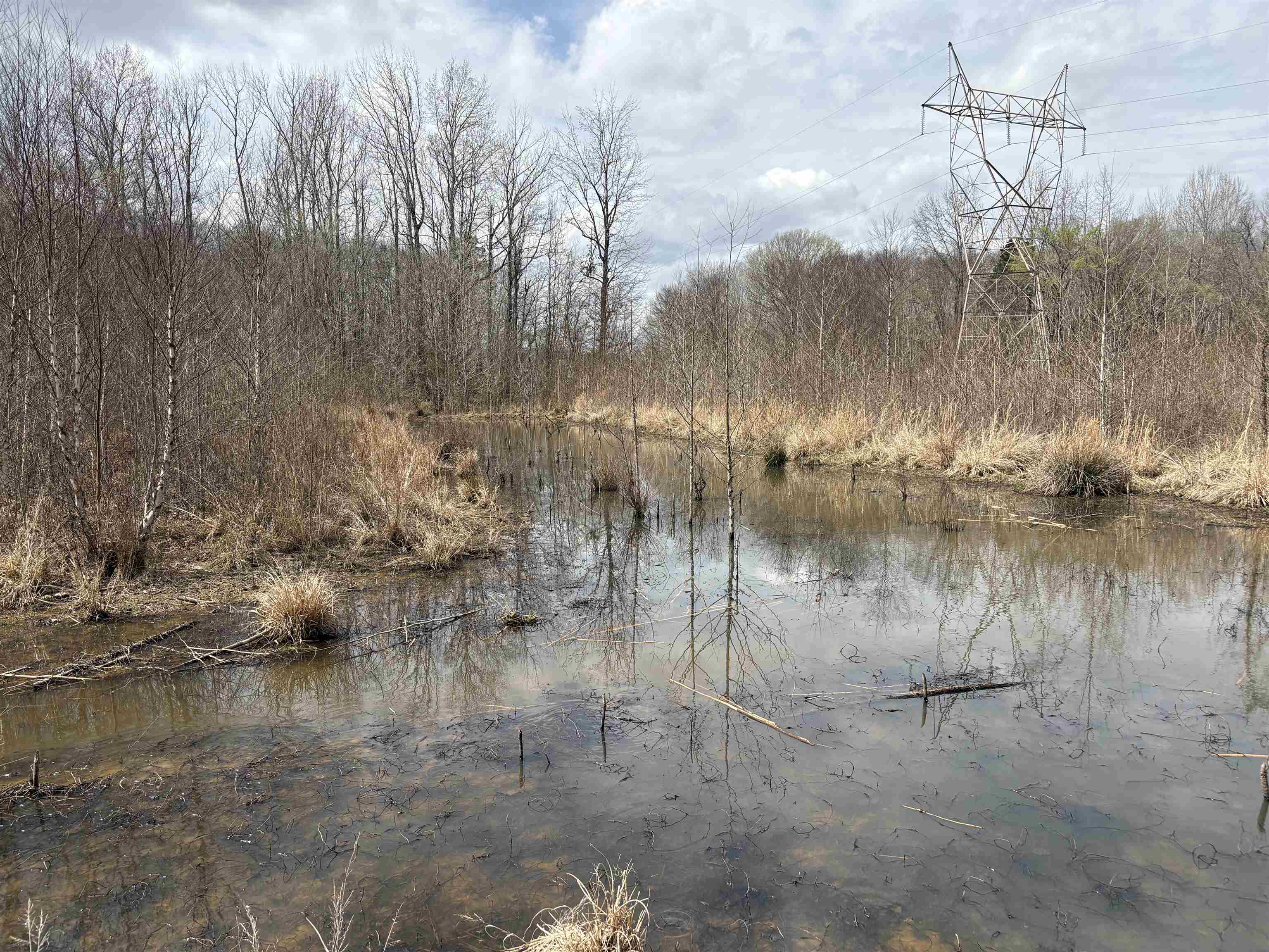 11338 Monterey Road Eads, TN 38028 - Photo 11 of 16 a view of lake