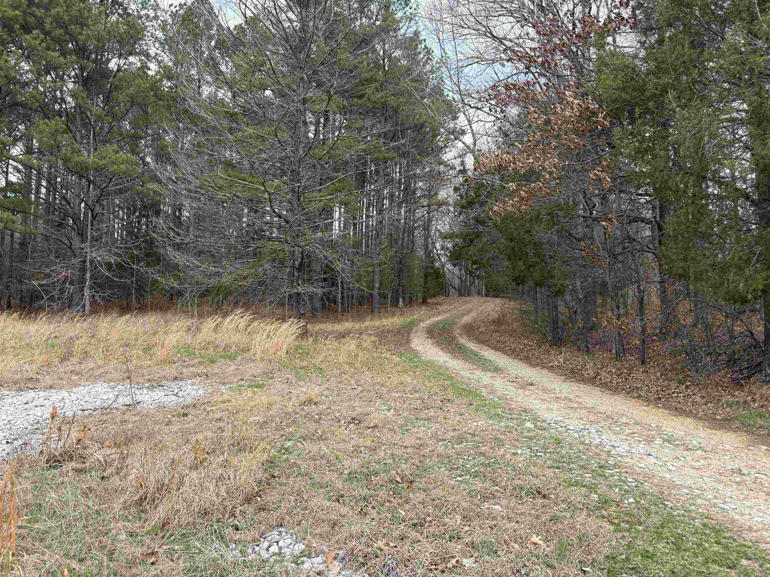 11338 Monterey Road Eads, TN 38028 - Photo 13 of 16 a view of a lake view