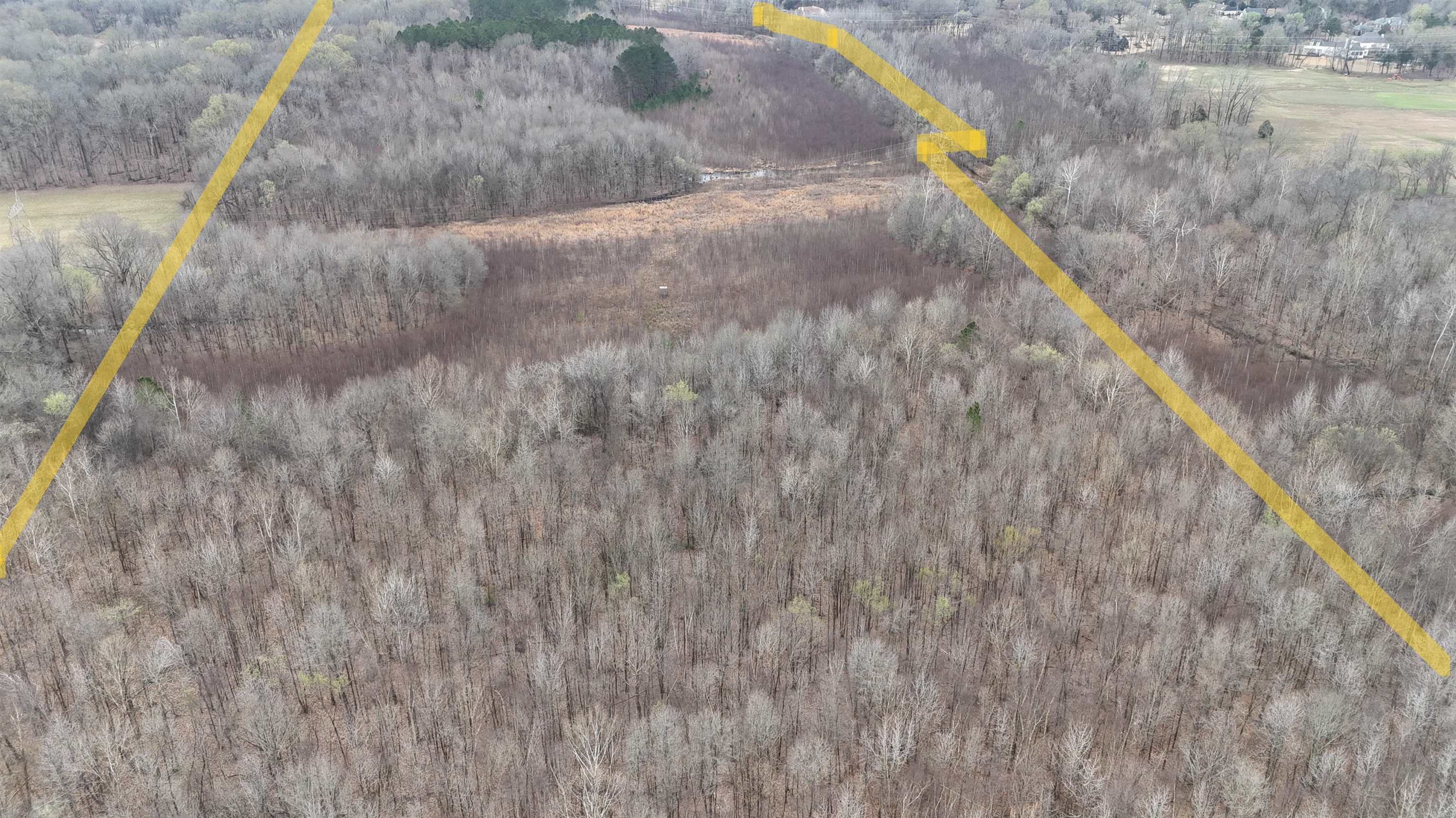 11338 Monterey Road Eads, TN 38028 - Photo 15 of 25 a view of a dry yard