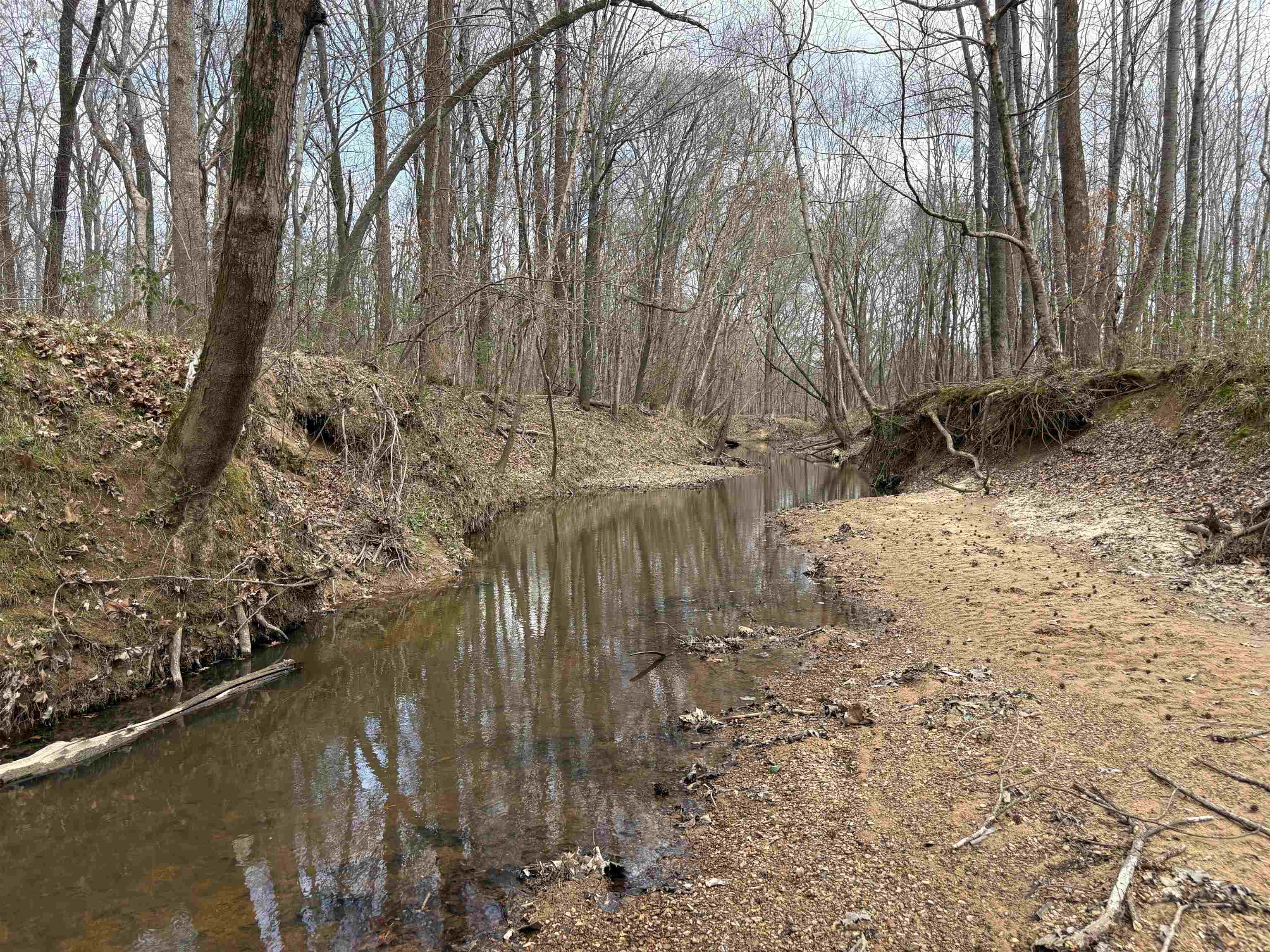11338 Monterey Road Eads, TN 38028 - Photo 2 of 16 a view of river covered with snow in the background