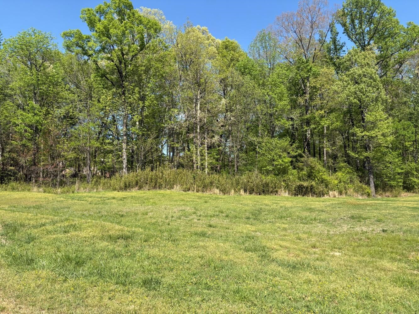 11338 Monterey Road Eads, TN 38028 - Photo 25 of 25 a view of a green field with trees