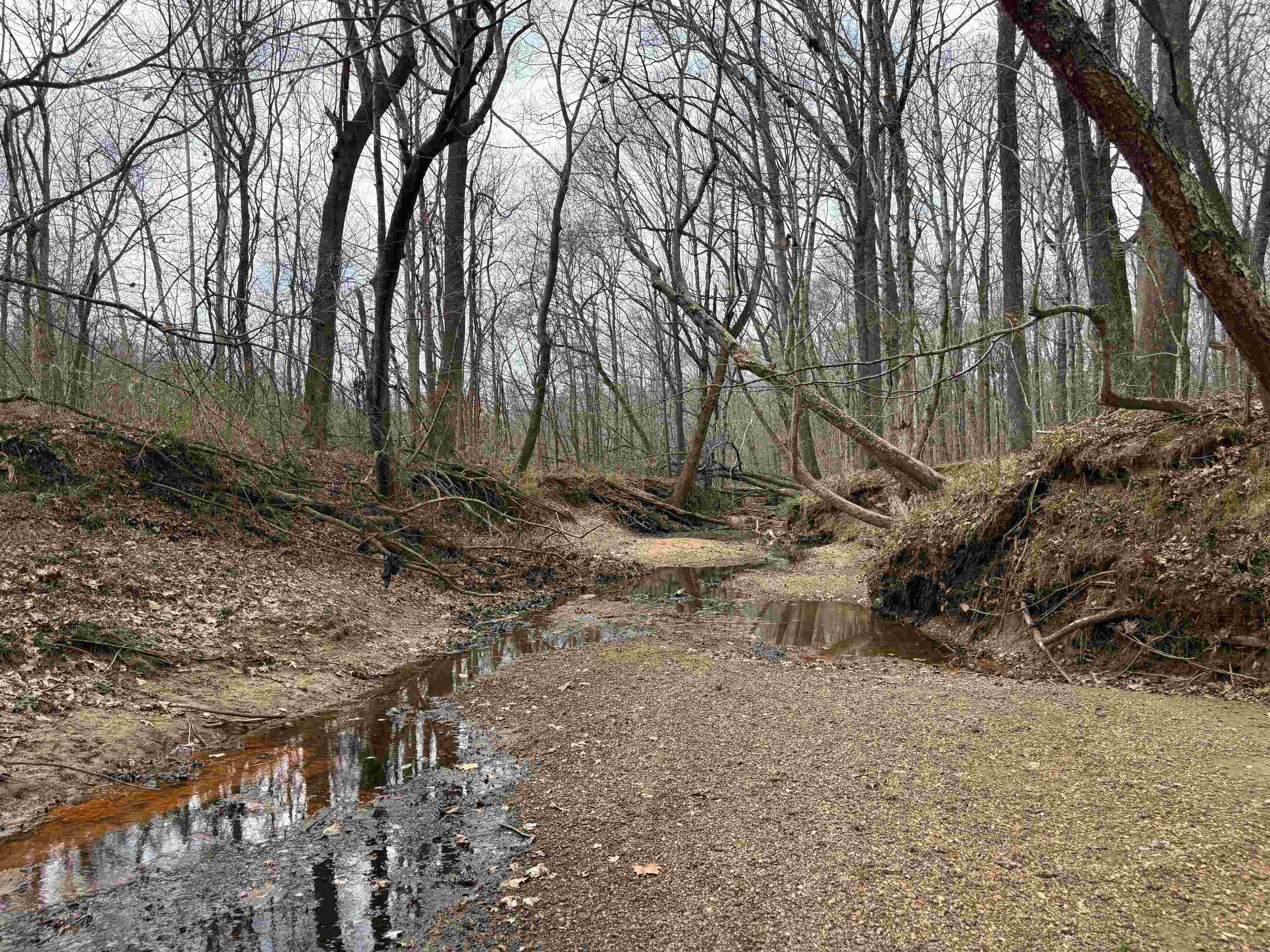 11338 Monterey Road Eads, TN 38028 - Photo 3 of 16 a view of backyard with green space