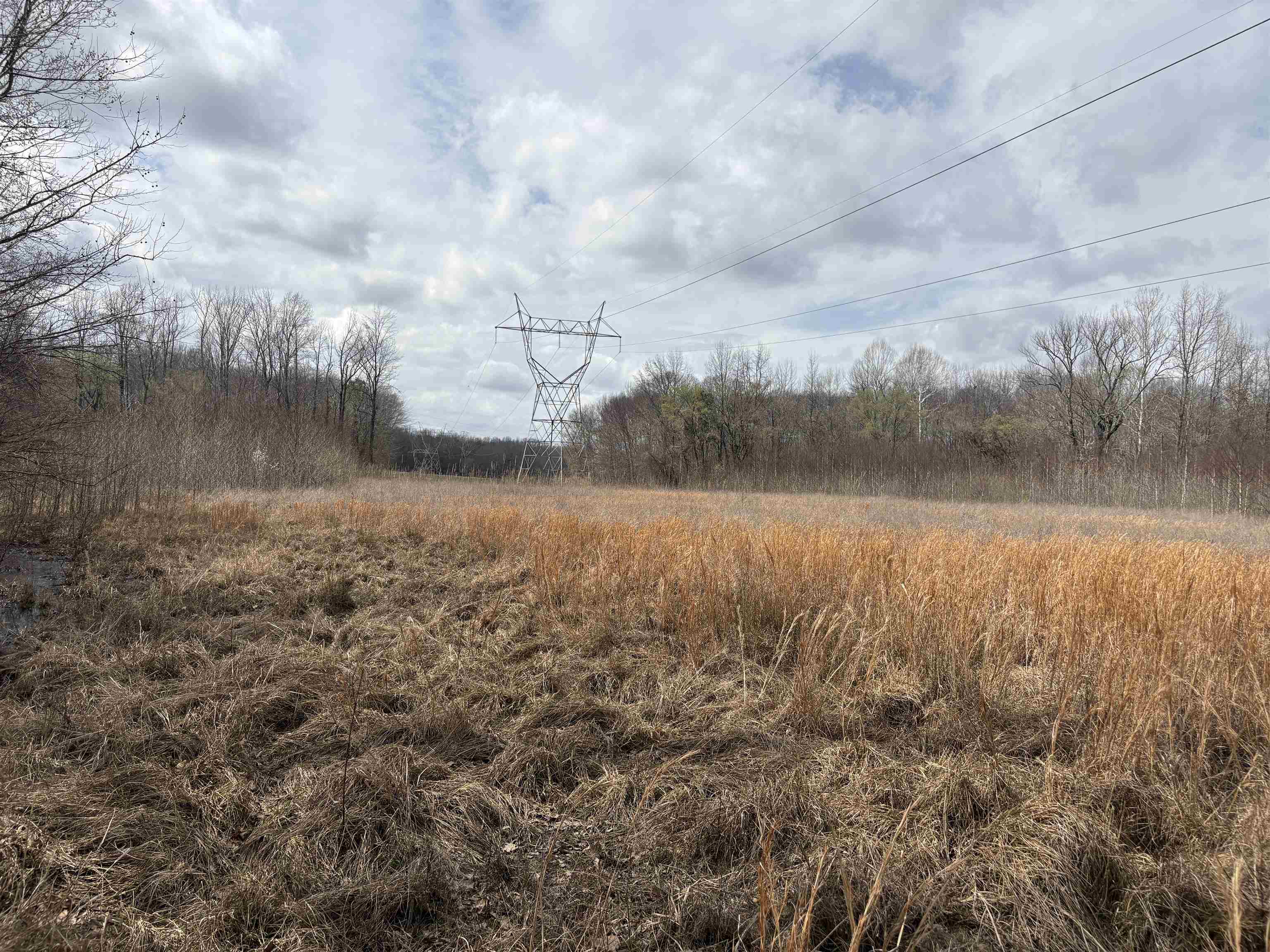 11338 Monterey Road Eads, TN 38028 - Photo 8 of 16 a view of lake with green space