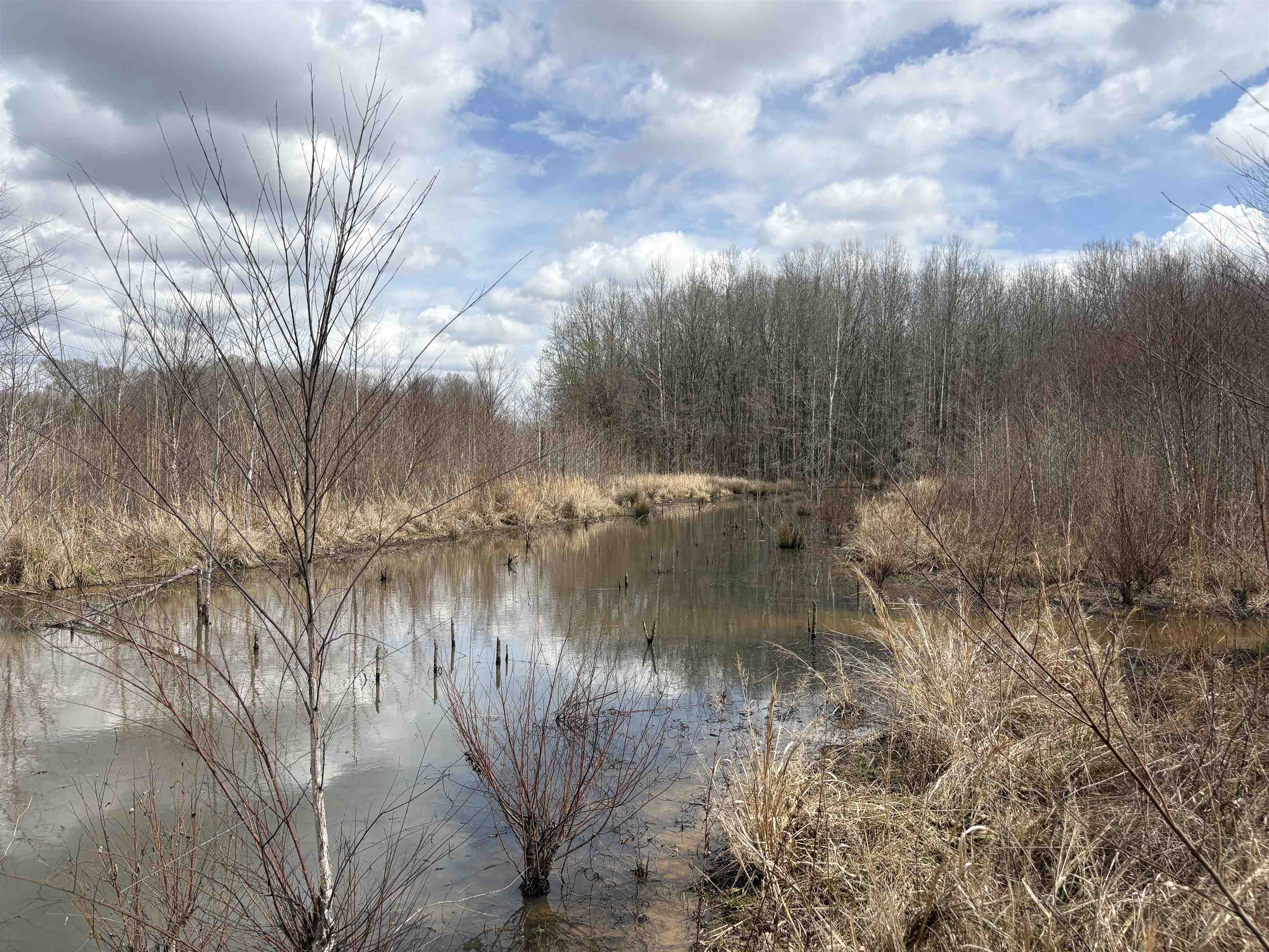 11338 Monterey Road Eads, TN 38028 - Photo 9 of 16 a view of a lake with lots of trees
