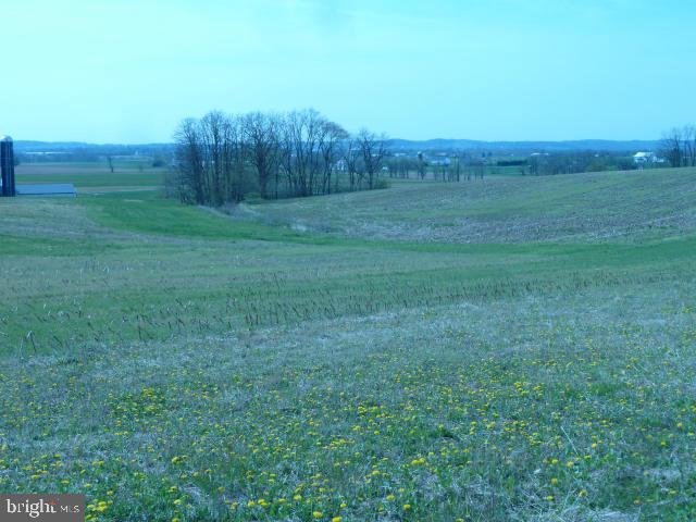 1245 Mount Joy Road Manheim, PA 17545 - Photo 4 of 6