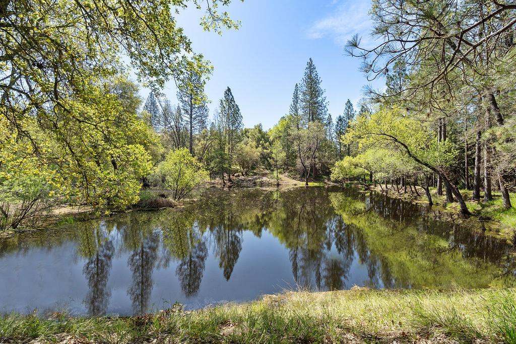 2940 Horseshoe Bend Road Somerset, CA 95684 - Photo 5 of 59