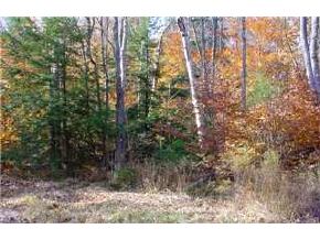 Lot A Flaghole Road Andover, NH 03216 - Photo 2 of 2 Gallery Image 2