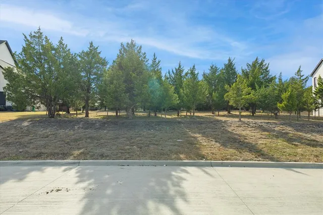 a view of a yard with a tree