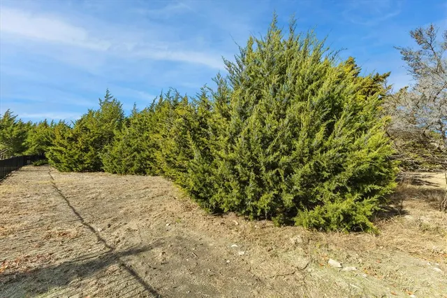 a view of a yard with trees