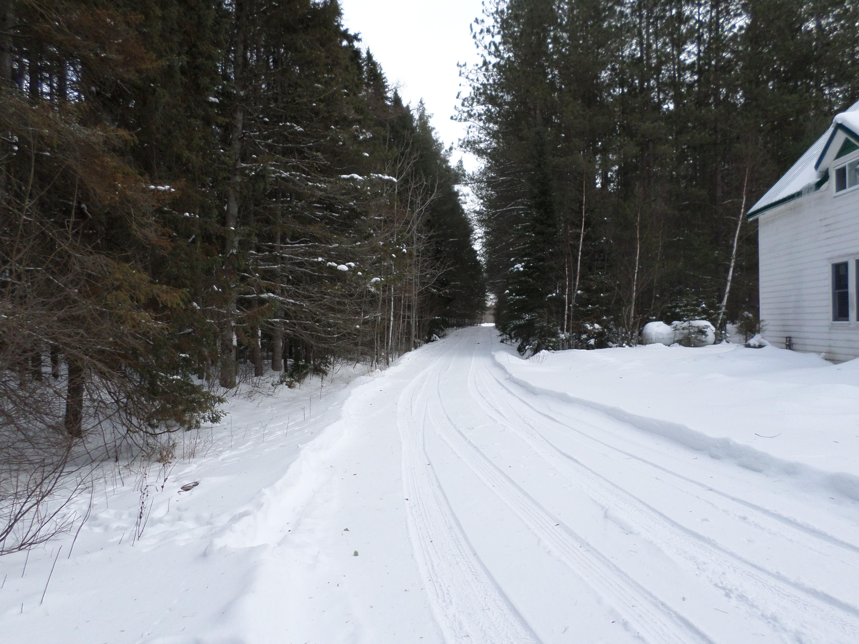7174 South Forrest Side Road Brimley, MI 49715 - Photo 23 of 51 Gallery Image 23
