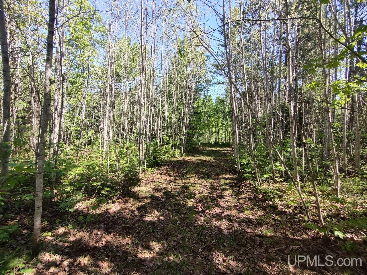 184 Marten Lake Road Iron River, MI 49935 - Photo 21 of 25
