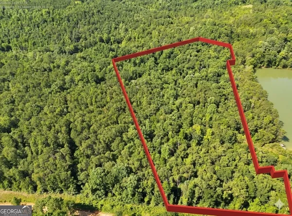 $65,000 | 0 Indian Lake Road, Unit LOTS 98100, Clayton, AL 36016