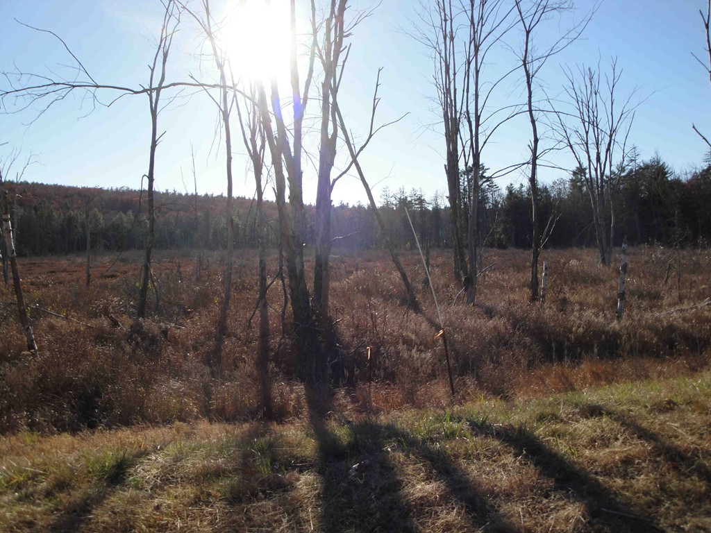 Lot 4-12 Rindge State Road Ashburnham, MA 01430 - Photo 1 of 1 Gallery Image 1