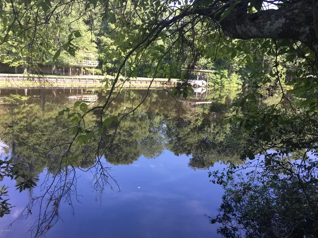 a view of a yard with plants and trees