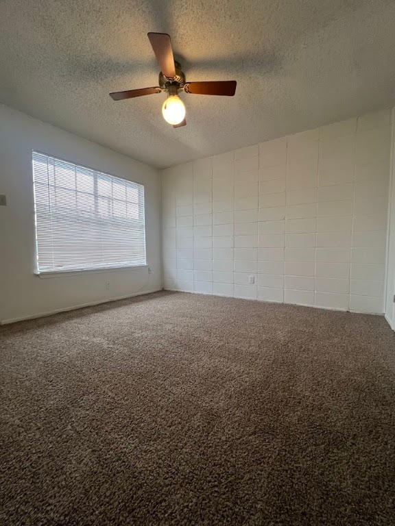 311 East 31st Street, Unit 205 Austin, TX 78705 - Photo 12 of 17 an empty room with windows and fan