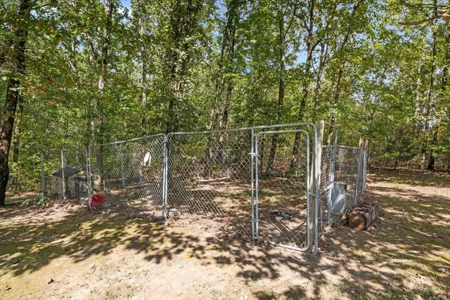 a view of a door with a tree
