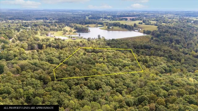 a view of a lake with a city