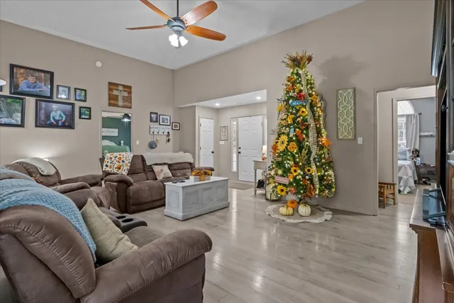 a living room with furniture and a potted plant
