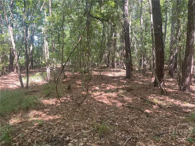 $35,000 | 0 Seabrook Lane, Midway, GA 31320