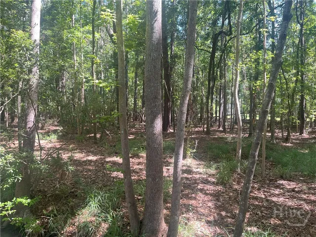 $35,000 | 0 Seabrook Lane, Midway, GA 31320