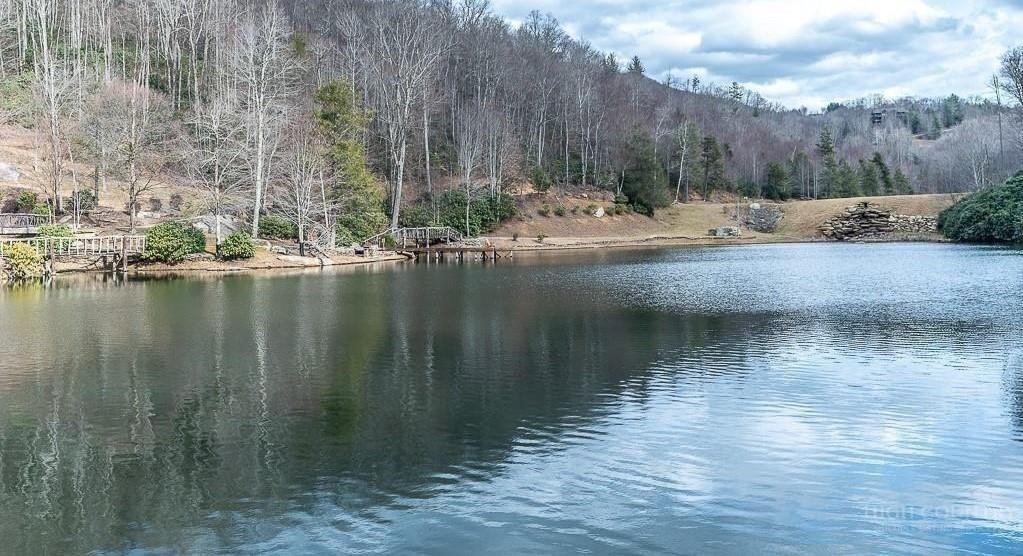 485 Woodlake Loop Road Elk Park, NC 28622 - Photo 43 of 44 a view of a lake view