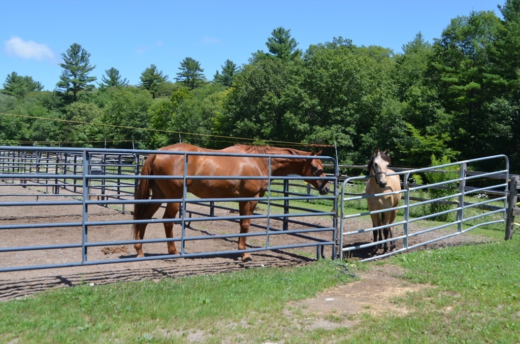 37 East Street Topsfield, MA 01983 - Photo 16 of 39 a view of outdoor space and yard