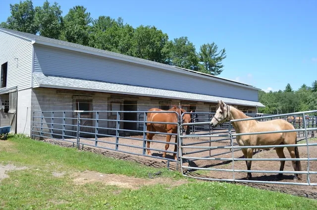 a view of house with a big yard
