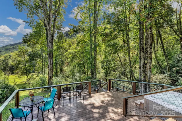 $649,000 | 3851 Gerton Highway, Gerton, NC 28735